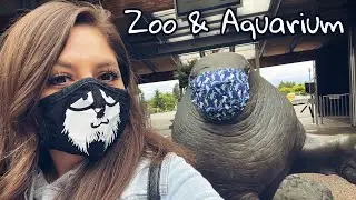 A TRIP TO THE POINT DEFIANCE ZOO & AQUARIUM!