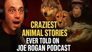 These 10 Animal Stories SHOCKED Joe Rogan 😱 | JRE Highlights | İnsane Animal Stories By Joe Rogan