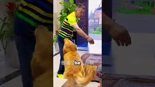 This Dog Just Became Her Bodyguard 🐶❤️