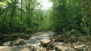 Muzyka Relaksacyjna(relaxing music) +Antystresowa, +Do dobrego snu RELAX +Muzyka Tła + Spokoj 