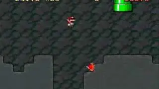 The Tale of Elementia - Shitake Isle (Secret exit)