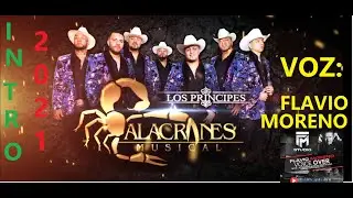 (FM STUDIO) INTRO ALACRANES MUSICAL - VOZ FLAVIO MORENO