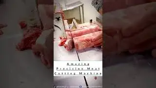 ASMR - Amazing, Precision Meat Cutting Machine #asmr #viralvideo #fyp #funny #adostres #ahproject