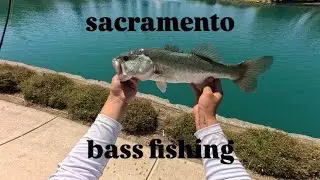 Sacramento Bass Fishing my Backyard Private Pond