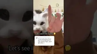 It has to be middle!! 😂 || #therian #furry #trend #fyp #cringe #compilation #viralvideo #duet