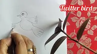Twitter Bird Drawing 🦜Easy & cute bird drawing ✏️Follow 👉 @Kanon'sArtGallery25