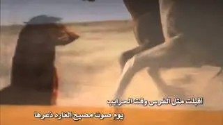 جديد وحصري : شيلة_ ليلة آلذكرى_كلمآت _ عوض القوانه _أداء_نآصر آلسيحآنيـ 2013 #~