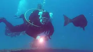 Diving in Portugal - Diver&acute;s Cove Portugal