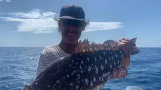 Rankin Cod. Fishing Exmouth.