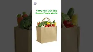 Single Use Plastic Carry Bag Vs Reusable Bag