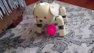 New Aibo ERS-311b!