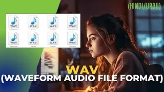 WAV|Waveform Audio File Format|What is WAV|What is Waveform Audio File Format in HINDI