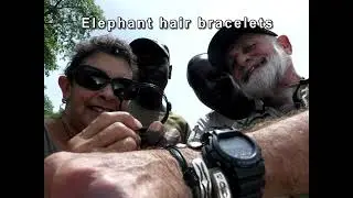 Victoria Falls shopping and 3 monkeys for lunch you gotta eat