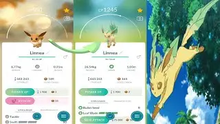 Pokemon GO: Evolving EEVEE into LEAFEON with Bullet Seed [Community Day December 2021]