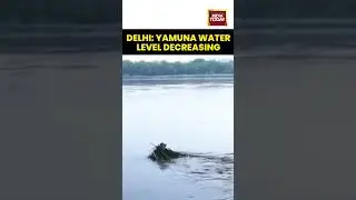Delhi Flood Update: Yamuna Water Level Decreasing | Relief for Residents