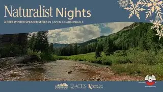 Born to be Wild: The Ecological Benefits of Wild & Scenic Rivers