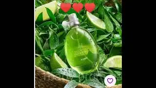 ТУАЛЕТНА ВОДА Fizzy Green TEA, 30ml Для легкості і свіжості.лайм, імбир, зелений чай.Є В НАЯВНОСТІ