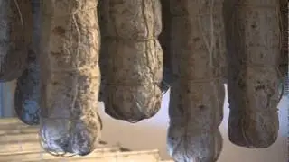SALAME BRIANZA DOP @ilmangiaweb salumificio Beretta Vittorio della Brianza
