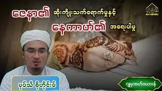 ဇေနာ၏ ဆိုးကျိုးသက်ရောက်မှုနှင့် နေကာဟ်၏ အရေးပါမှု