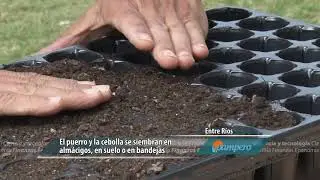 Siembra de semillas otoño invierno