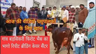 आज की वीडियो पशुपालकों के लिए खास गांव बड़सीकरी रिपीट ब्रीडिंग केयर सैंटर 