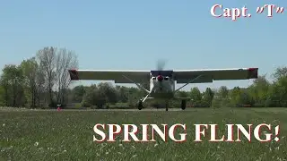 Spring Fling!!