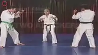 Kyokushin Karate - Self-Defense Techniques part3 - Bobby Lowe 8 Dan