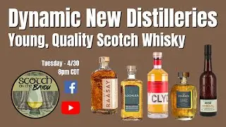 Dynamic New Distilleries  - Young, Quality Scotch Whisky