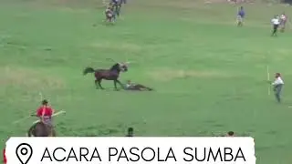 PASOLA PACUAN KUDA TRADISI DI PULAU SUMBA||PERANG BERKUDA DENGAN TOMBAK KAYU