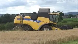 Harvest 2016 - Combing Barley with New Holland