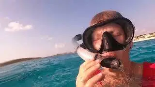 Diving on the anchor Dec 2022