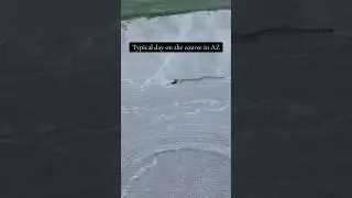 Heat isn&rsquo;t the only thing to worry about when playing golf in the summer in AZ #arizona #golfnetwork