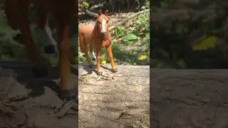 |ходили в лес с Белкой и Флипом| #music #beats #Schleich #Horses