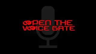 Open The Voice Gate - Dragongate and the VOW 30 Under 30!