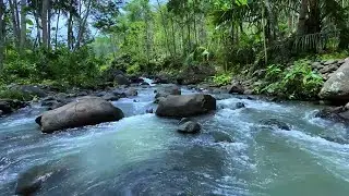 Calm Water Ambience for Deep Focus and Clarity