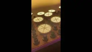 warm white led grow lights