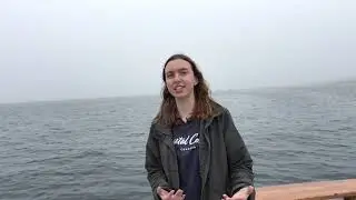 Water Quality Analysis Introduction