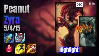 Peanut Jungle Zyra vs Olaf lol KR solo rank Highlight 14.19