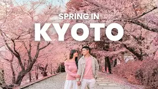 We Spent 3 Days in Kyoto for Cherry Blossom Season… Here’s What It Was Really Like 🌸