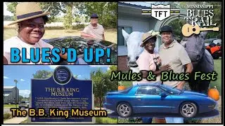B.B. King Museum and the Mules & Blues Fest in Marks Mississippi!
