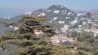 Mountains view l Shimla in December l Himachal Pradesh travel vlogs l Yash Arati vlogs