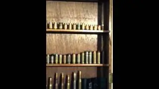 AMMO DISPLAY