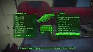 Nixie McRetro's Fallout 4 Live Stream