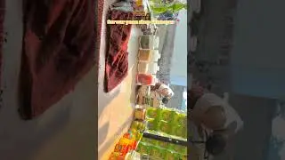 sarwar paan shop samaspur 📍 #paanshop #food #tobaccoshop #tobaccostore #love