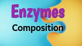 Composition of Enzyme