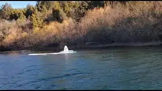 Queque Parodi .Accidente a&eacute;reo en Lago Rosario