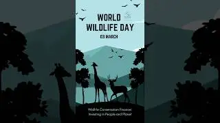 World Wildlife Day: Celebrating Earth's Most Amazing Creatures #shorts