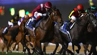 Horse Racing Global ~ NZ Trotters Cup Day Group 1 ~ Horse Racing Tips