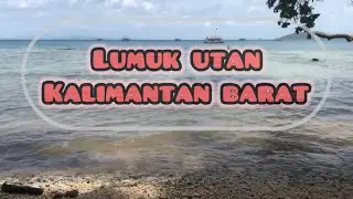LIBURAN KE LUMUKUTAN 