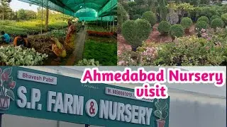 October Nursery visit/ Ahmedabad Nursery visit /Ornamental plants collection /